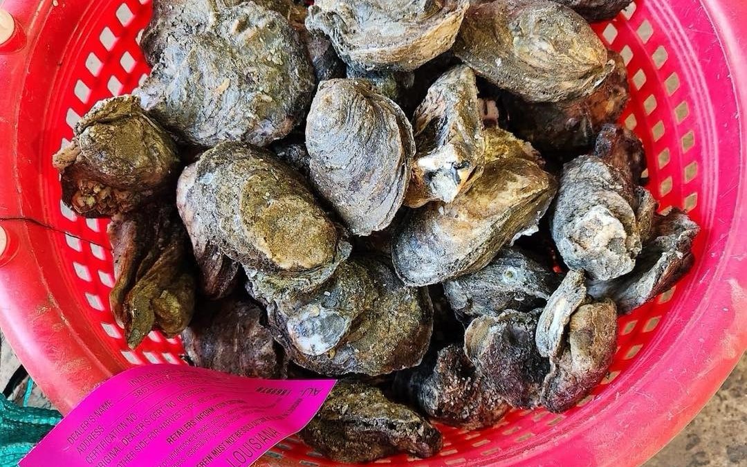 Jessica Gail Seafood